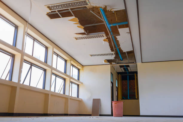 Best Ceiling water damage repair  in Byesville, OH