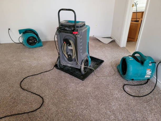 Best 24-hour water damage restoration  in Byesville, OH