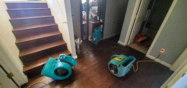 Best Sewage cleanup and water damage restoration  in Byesville, OH