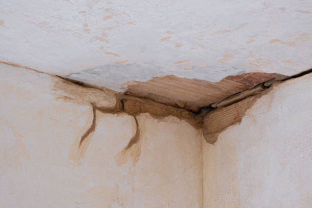 Reliable Byesville, OH Water damage restoration Solutions