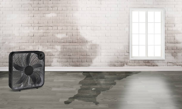 Best Commercial water damage restoration  in Byesville, OH