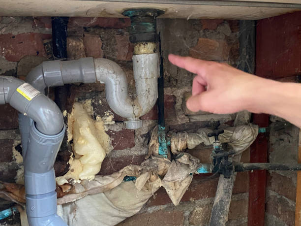 Best Water damage cleanup near me  in Byesville, OH