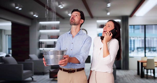 Best Local water damage restoration  in Byesville, OH