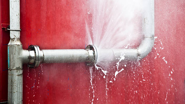 Best Professional water damage repair  in Byesville, OH